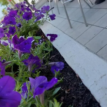 Olimpic Szálloda Rimini