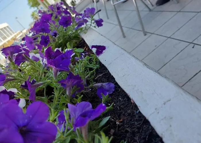 Olimpic Hotell Rimini